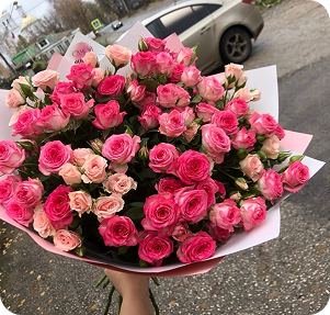 Розовый фейерверк